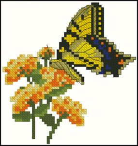 Tiger Swallowtail with Lantana Tiger Swallowtail with Lantana