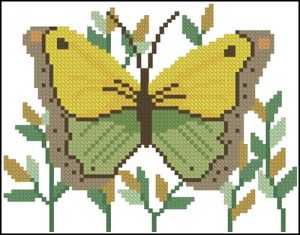Butterfly Fantasy Butterfly Fantasy