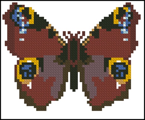 Butterfly with Blue Eyespots