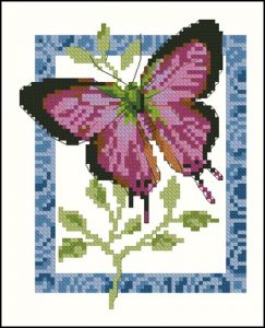 5-055 Butterfly 2
