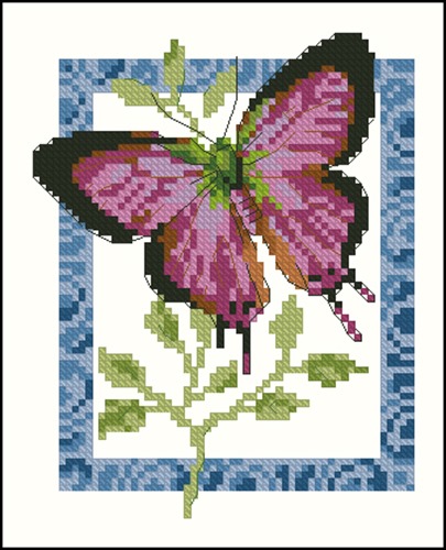 5-055 Butterfly 2