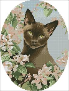 Кот в цветах