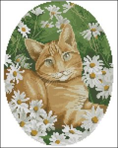 Ginger Cat Ginger Cat