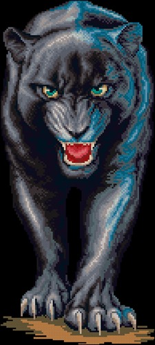 Black Panther on the Prowl