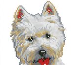 Игривый щенок Игривый щенок