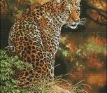 Leopard's Gaze Leopard's Gaze
