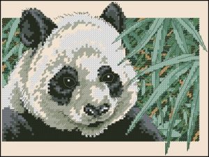 Panda Delight Panda Delight