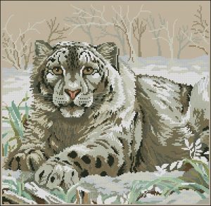 Snow Leopard Snow Leopard
