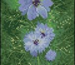 Love In A Mist Love In A Mist