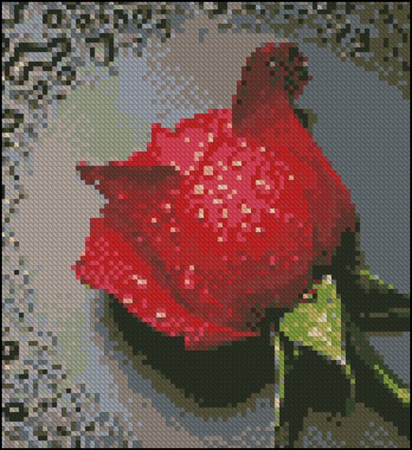 Red Rose