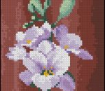 Mini Freesia Mini Freesia