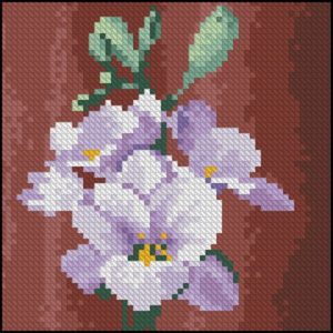 Mini Freesia Mini Freesia