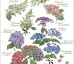 Hydrangea Panel Hydrangea Panel