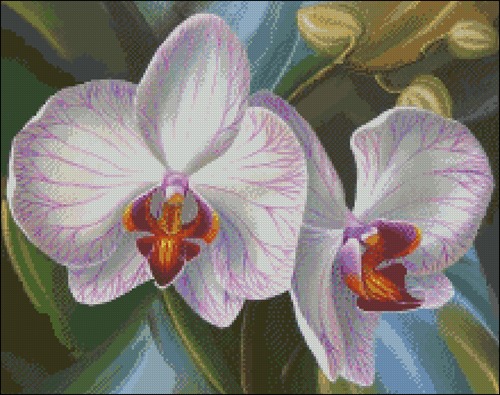 White Orchid Watercolor