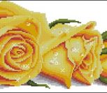Розы в росе (желтые) Розы в росе (желтые)