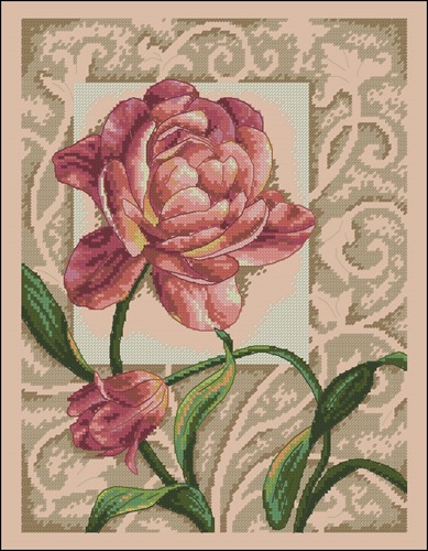 Blooming Peony