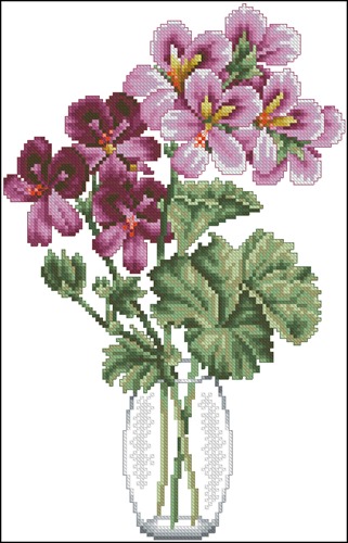 Geranium