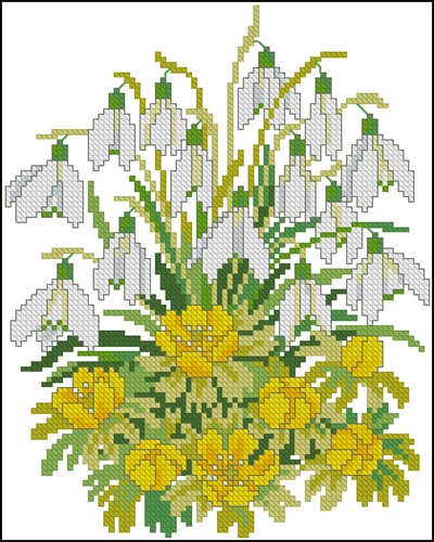 Snowdrops