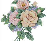 Rose Garden Cuttings Rose Garden Cuttings
