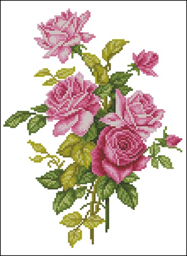 Pink Roses OC-17-173