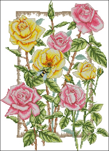 Roses by Anchor