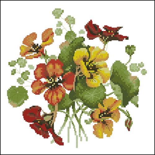 Nasturtium Posy
