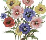 Pansy Posy Pansy Posy