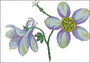 Fleurs - Mussen Fleurs - Mussen