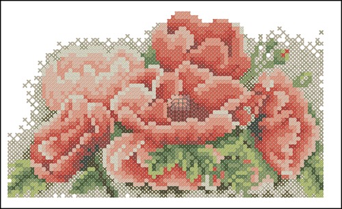 Delicate Pink Poppies