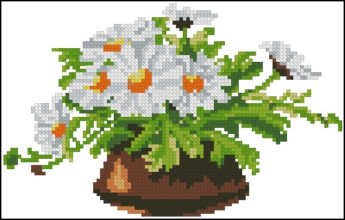 Margueriten