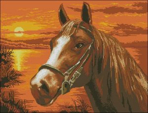 Sunset Horse Portrait Sunset Horse Portrait
