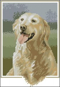 Golden Retriever Golden Retriever