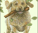 Labrador retriever Labrador retriever