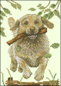 Labrador retriever Labrador retriever