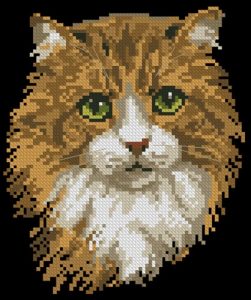 Рыжий кот Рыжий кот