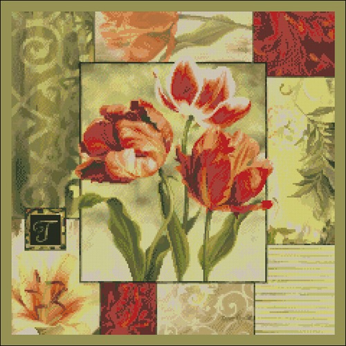 Variegated Tulips