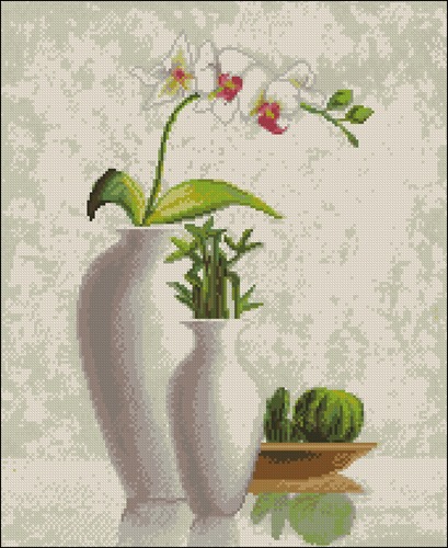 Orchid and Cactus Still Life