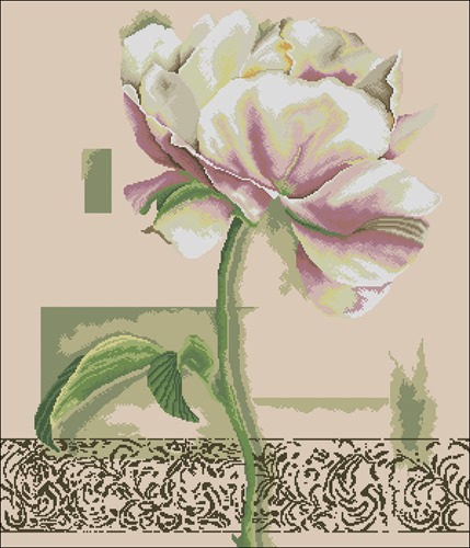 Blush Peony Blossom