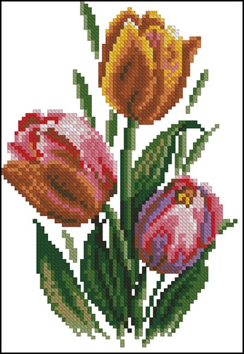 Bouquet of Three Tulips