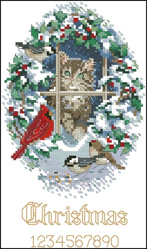 Snowed in Kitten