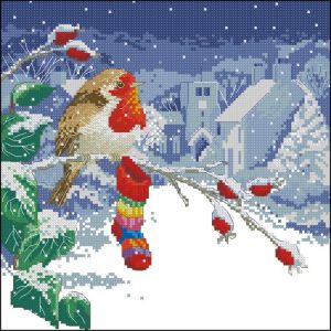 Winter Robin Winter Robin