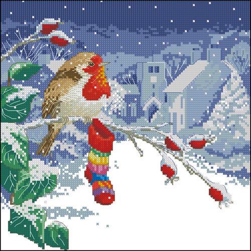 Winter Robin