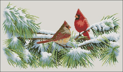 Winter Cardinals