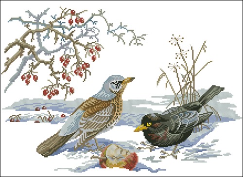 Winter birds