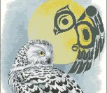 Snowy Owl by Sue Coleman Snowy Owl