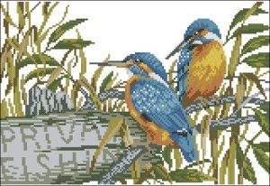 Kingfishers