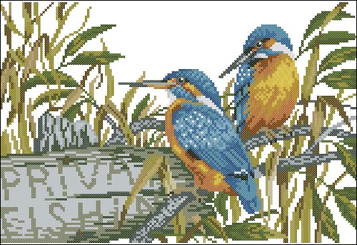 Kingfishers