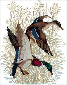Duck hunting Duck hunting