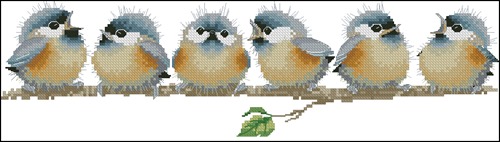 Row of Fluffy Baby Birds