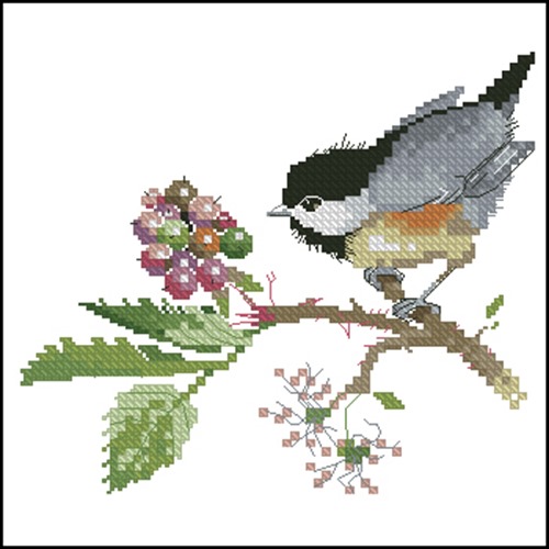 Chick Berry